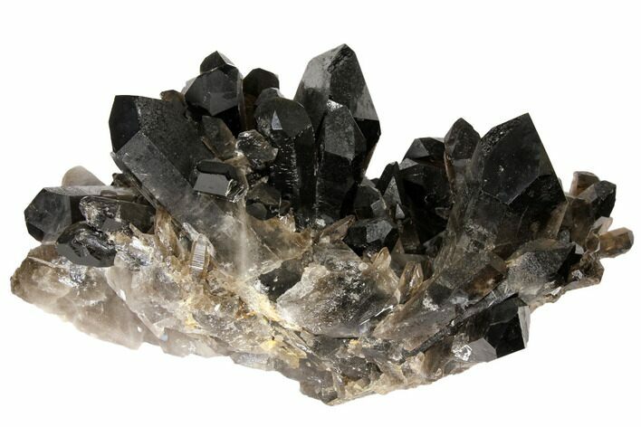 Smoky Quartz Crystal Cluster ( lbs) - Brazil #120467